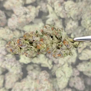 Chernobyl THCA Flower