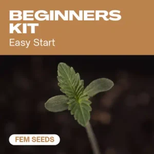 Beginners Pack