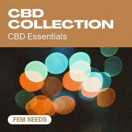 CBD Collection