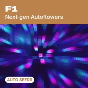F1 AUTO