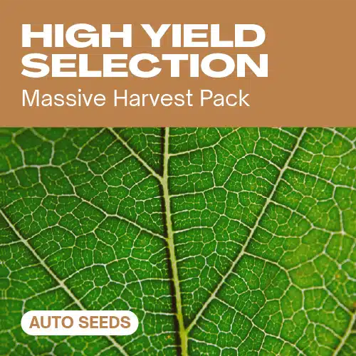 High Yield Selection Auto