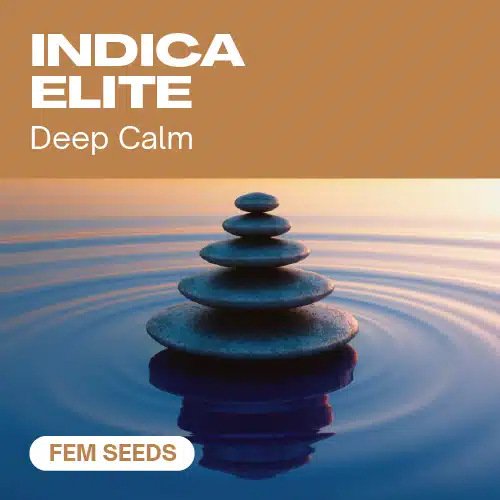 Indica Elite Fem
