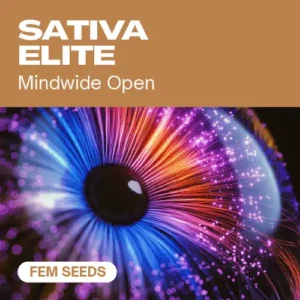 Sativa Elite Fem