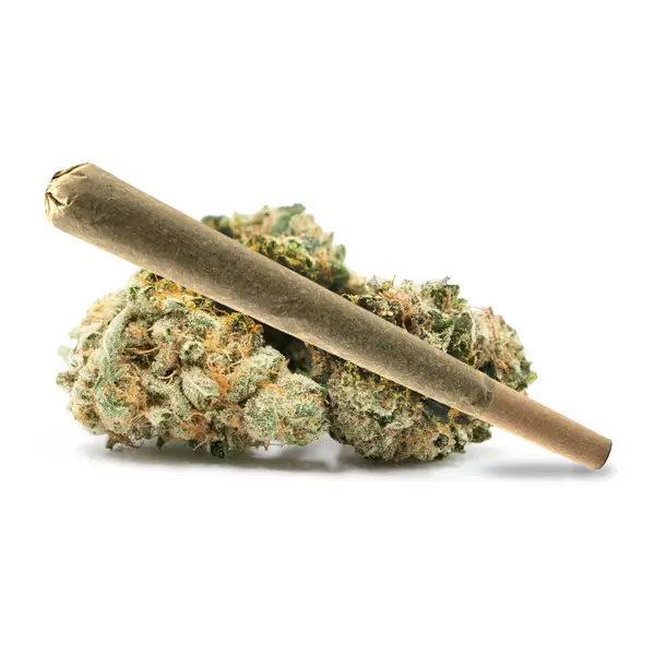 Gumbo Pre Roll