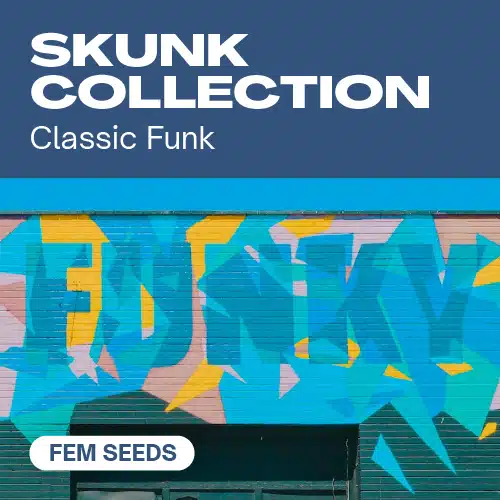 Skunk Collection