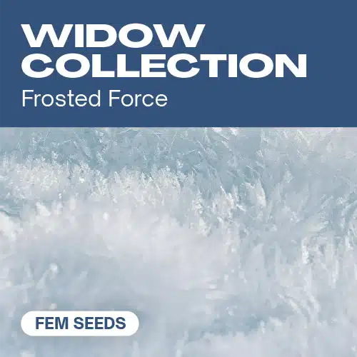 Widow Collection
