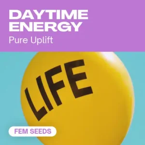 Daytime Energy