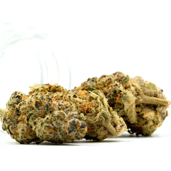 Runtz x Jealousy THCA Flower - Image 2