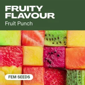 Fruity Flavour